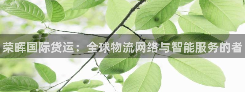 尊龙官网手机版下载