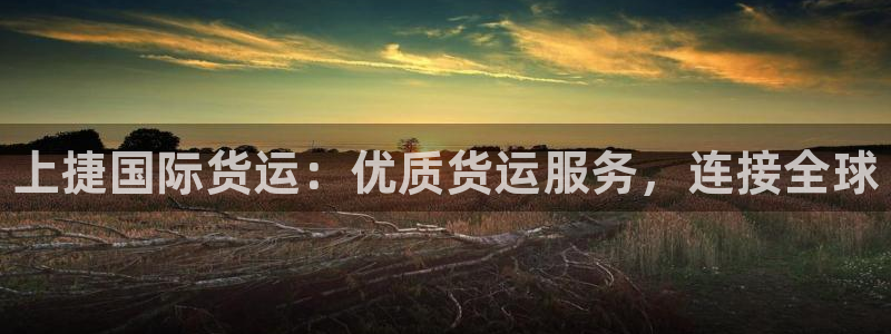 尊龙集团有限公司是国企吗：上捷国际货运：优质货运服务，连