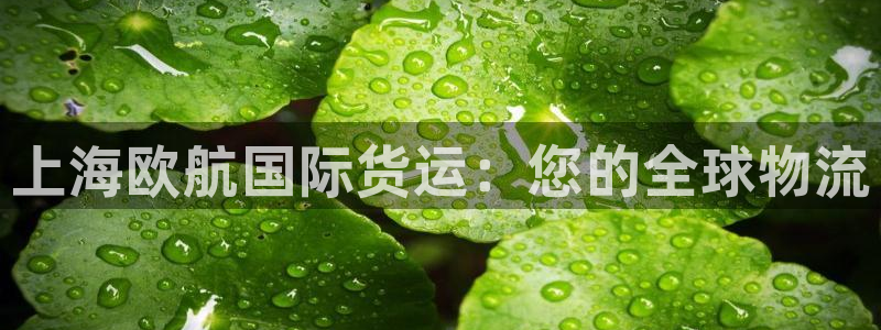 尊龙凯时ag旗舰厅登陆：上海欧航国际货运：您的全球物流