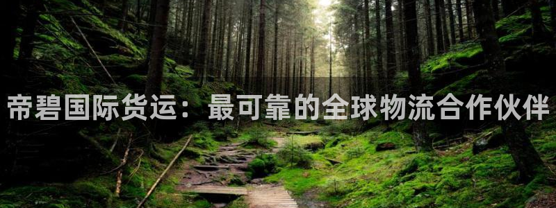 尊龙凯时始人生就是博：帝碧国际货运：最可靠的全球物流合作