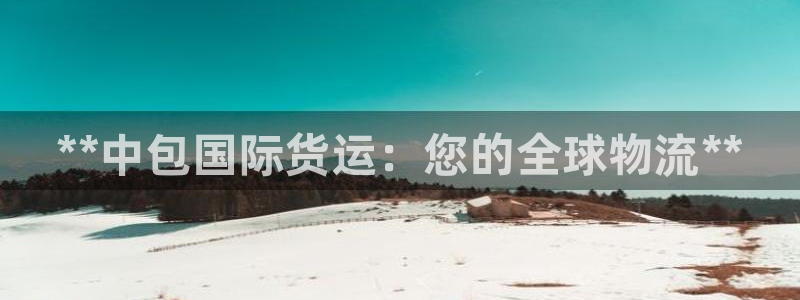 尊龙凯时处理未到账：**中包国际货运：您的全球物流**