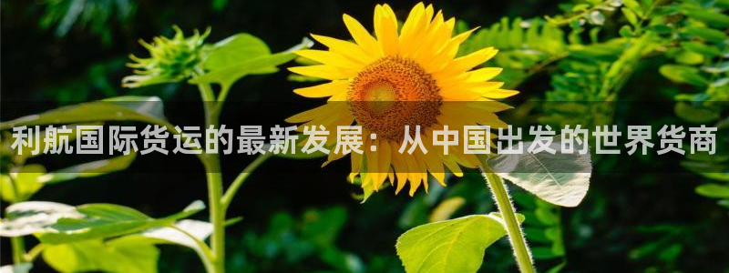 尊龙凯时人生就是搏·(中国)官网：利航国际货运的最新发展