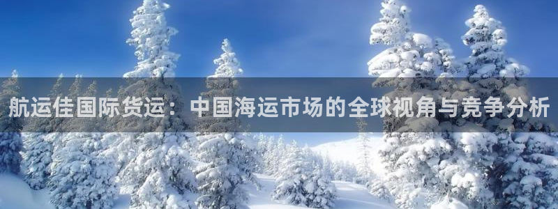 尊龙d88官网可靠送38元：航运佳国际货运：中国海运市场